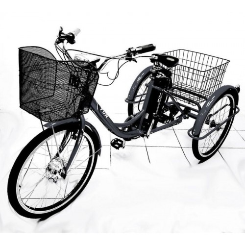 Электровелосипед трехколесный взрослый Etoro Turino 350 фото