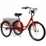 Электровелосипед трехколесный взрослый Etoro Turino 350 миниатюра13